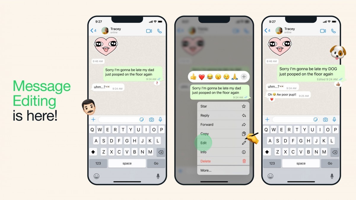 Edit WhatsApp Message for 15 Minutes